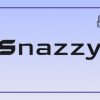 Snazzy Theme Common