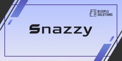 Snazzy Theme Common