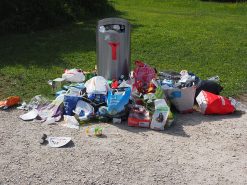 Recycling and Waste Management