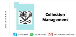 Collection Management System