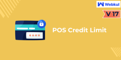 Pos Credit Limit