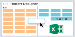 Report Designer (XLSX, XLSM)
